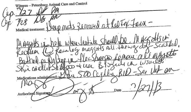 Portion of records from Petersburg pound for dog #680-13