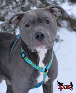 Photo by Ann Brownell