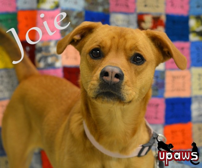 Photo by Ann Brownell