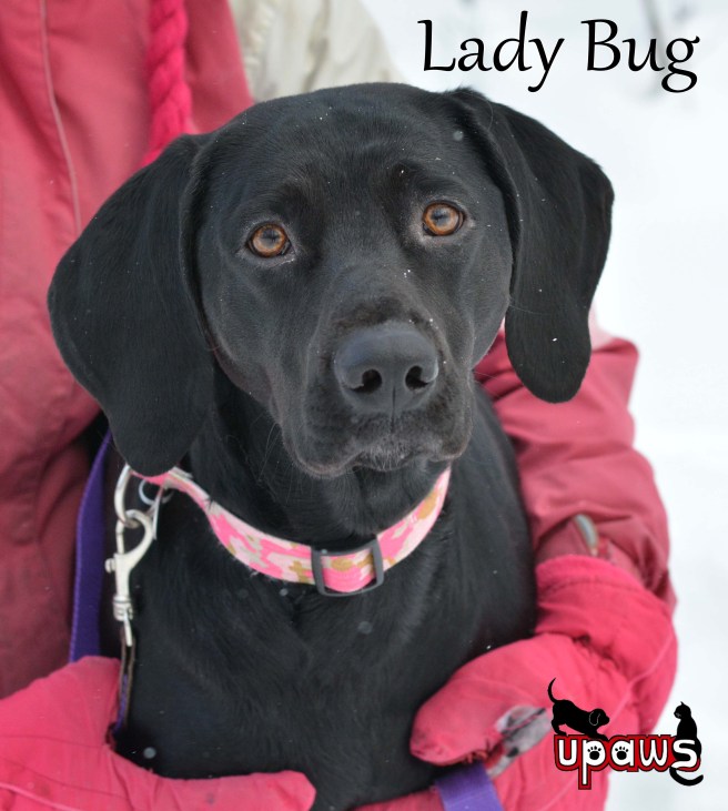 Photo by Ann Brownell