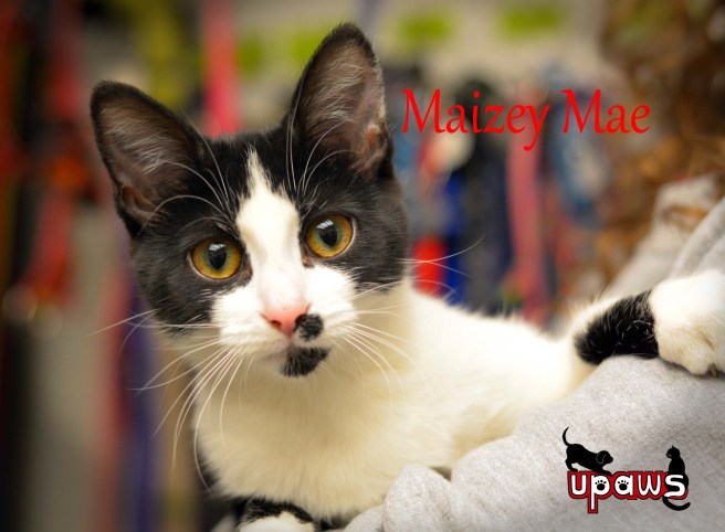 Photo by Ann Brownell