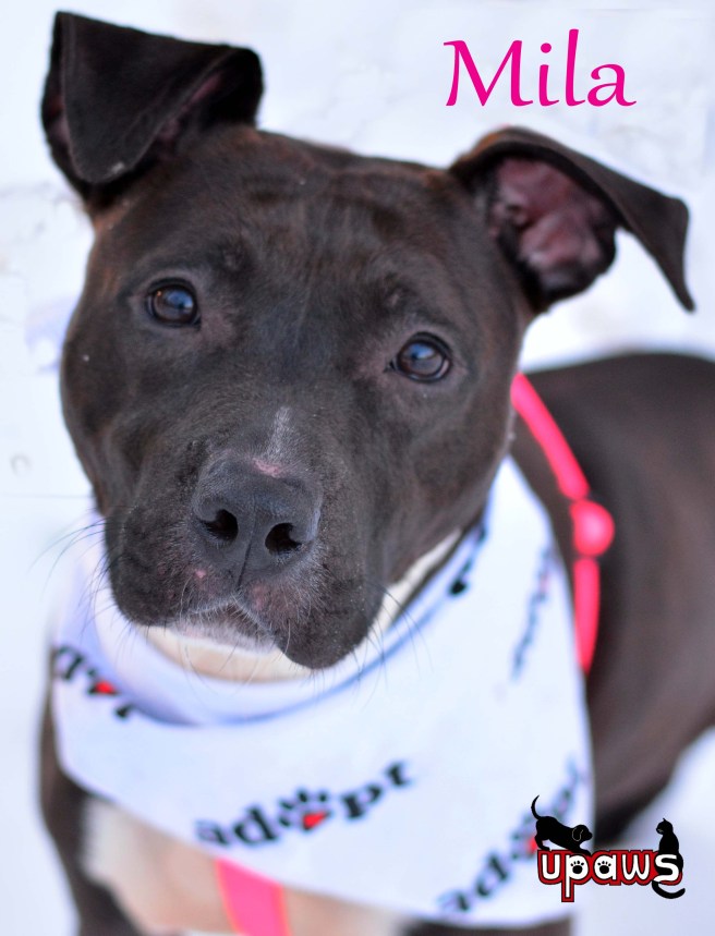 Photo by Ann Brownell