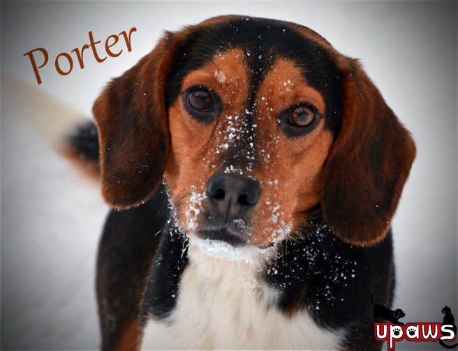 Photo by Ann Brownell