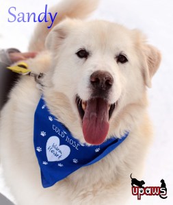 Photo by Ann Brownell