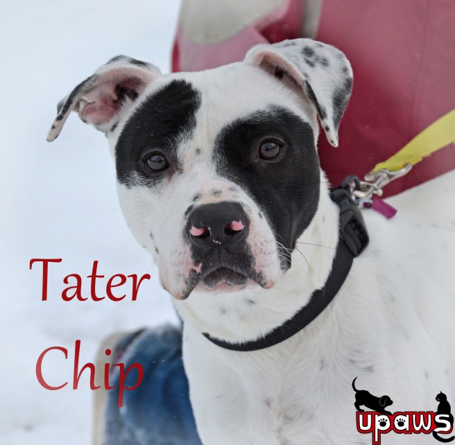 Photo by Ann Brownell