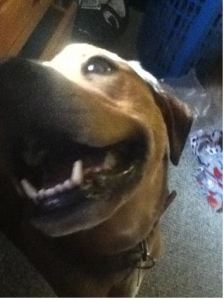 Hollie in a screengrab from the KGUN online report