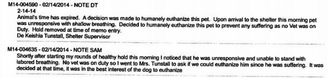 Two entries by two different MAS staff members indicating no vet was on duty at the time the dog was found unresponsive and the decision made to kill him.