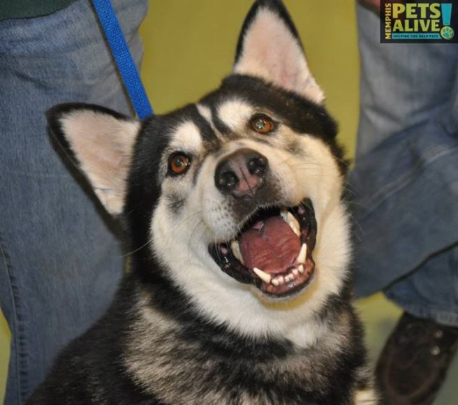 mal smile 02 11 14 mpa