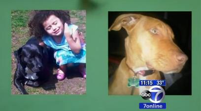 Screengrab from the WABC website depicting Cici and Yankee