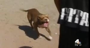 Screengrab from a video posted on the KNBC website.