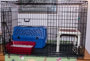 Gary's taming cage.  (Photo by Casey post)