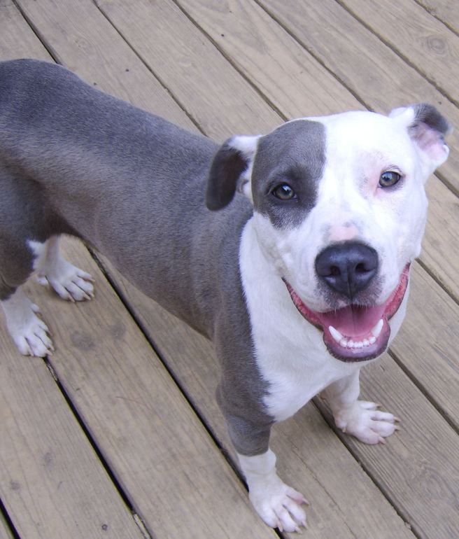 Presumed innocent until proven guilty in a court of law.