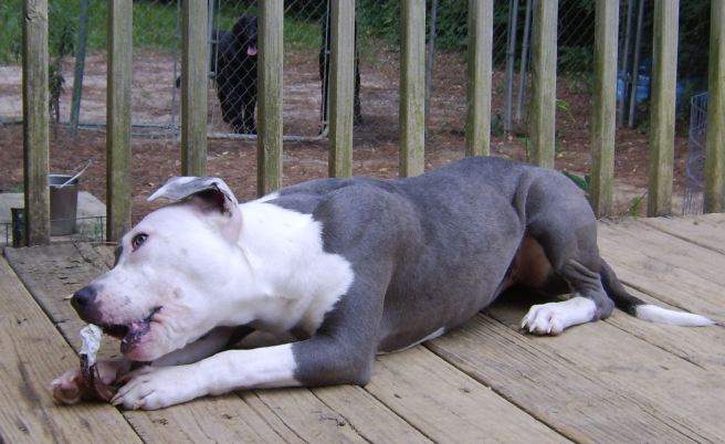 Chewing stuff reveals many good ear settings.