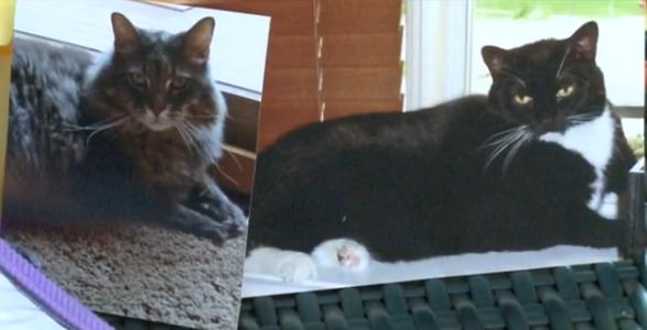 Chloe and Truman, as shown on the WOWT website.