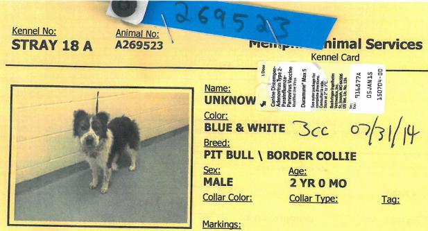 Portion of the cage card for dog ID #269523 at the Memphis pound.
