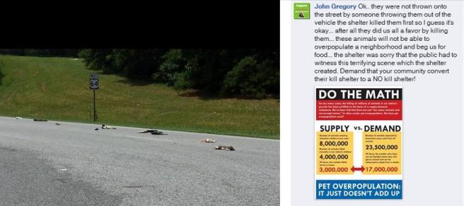 Screengrab from Facebook showing a trail of dead pets on a NC highway.