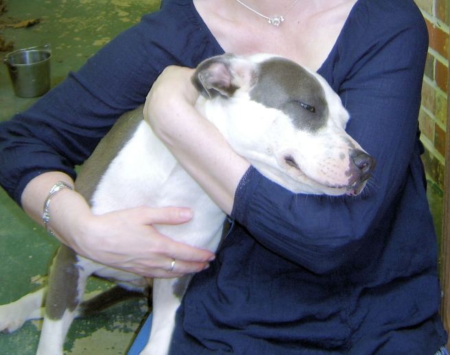 I know someone who loves to get hugs and kisses.