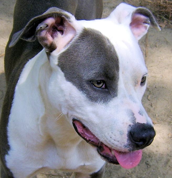 Summer.  Dragging.  On.