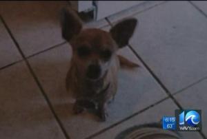 Maya, as pictured on the WAVY website.