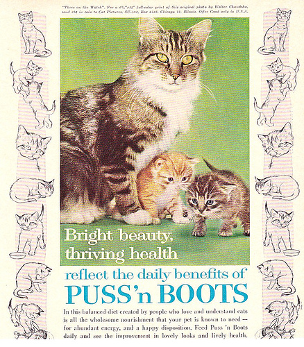 pussnboots