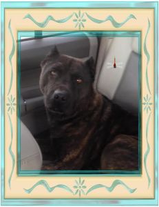 Photo by Vickie Carter