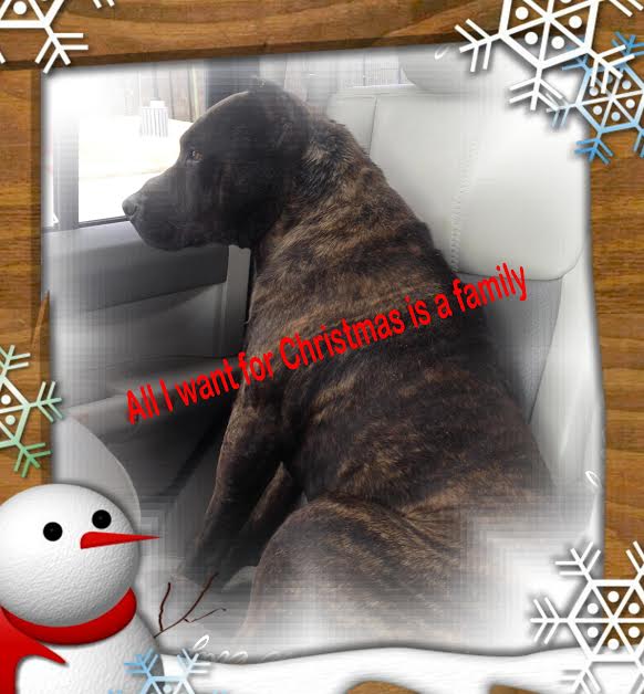 Photo by Vickie Carter