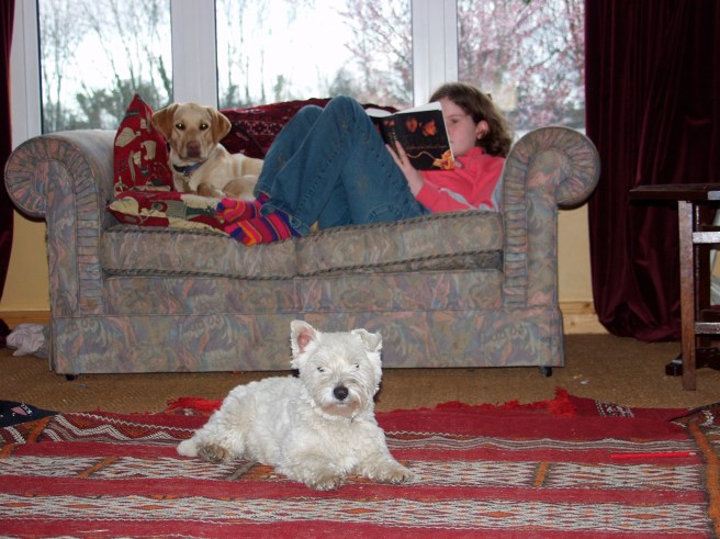 "Me and my dogs 10 years ago, after a long walk. I'm happy to add that today, when walking the same dogs, I got stopped and asked about my 'puppies'!"  (Photo submitted by Connie.)