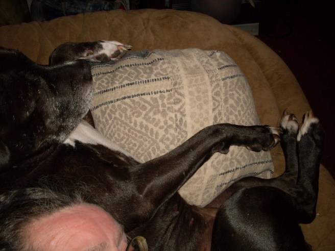 "Jeanne and Midnight in Covington, NY" 