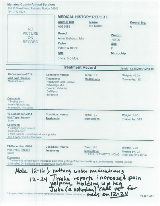 Manatee Co Animal Services medical record for a dog who had been shot in the leg, as posted on Facebook.