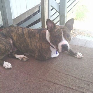 Babygirl, as shown on actionnewsjax.com.