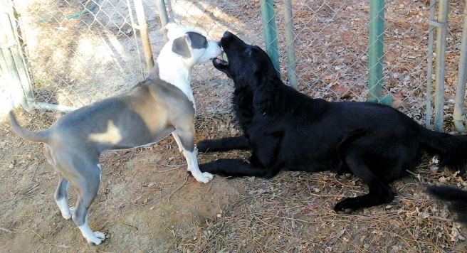 Got the ball AND got your nose.