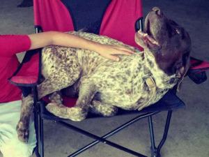 Major, as shown on the KSWO website.