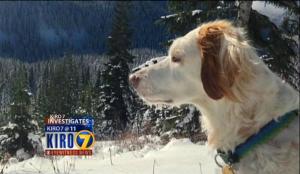 Cody, as shown on the KIRO website.