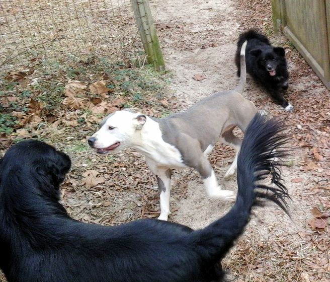 Hard right at high speed.