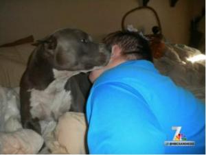 Burberry cuddling with a friend, as shown on the NBC San Diego website.