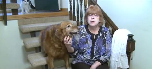 Kaiya at home with her family, including her photobomb cat, as shown on the WOWT website.