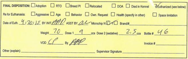 david MAS kill record