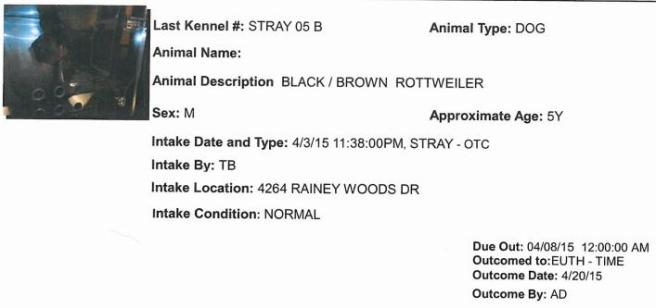 david MAS kill record2