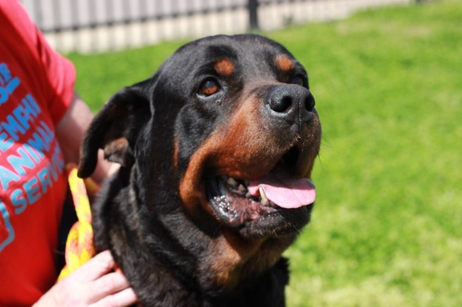 David at MAS.  (Photo by Beth Spencer)