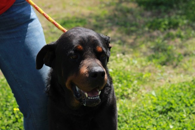 David at MAS.  (Photo by Beth Spencer)