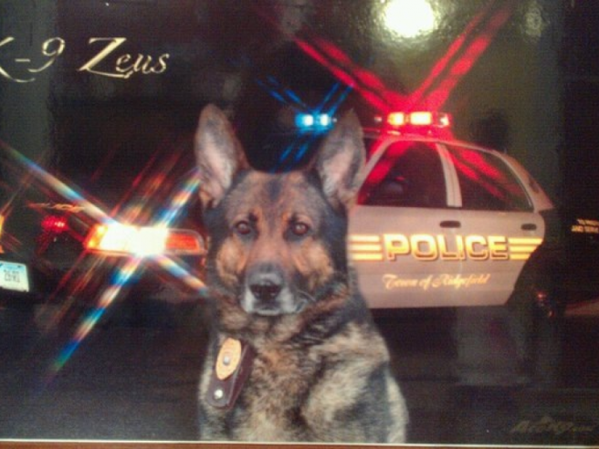 Zeus, as pictured on Facebook.