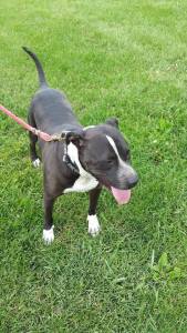 Photo submitted by Dottie Berzins