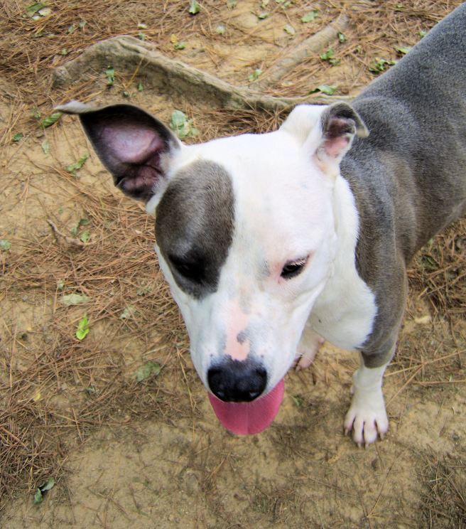 Happy Mother's Day to everyone, including you over there.