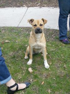 Jenga, as pictured on freep.com.