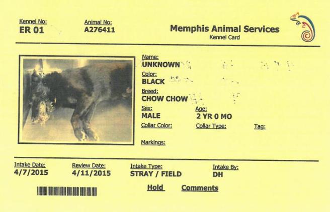 Obtained via FOIA request, this is a portion of the Memphis pound records for dog ID #276411.