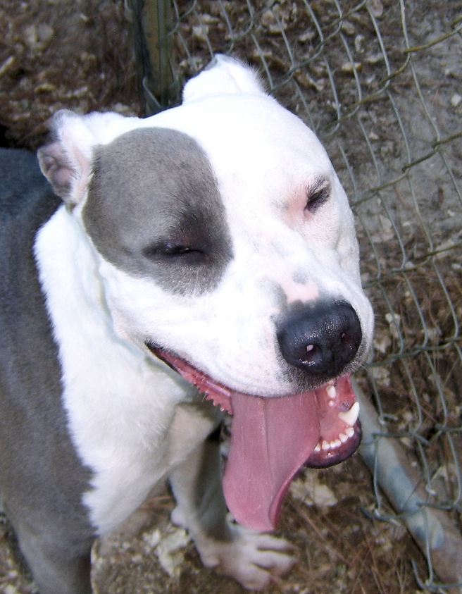 It's too hot to keep my tongue sorted.