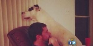 Chance, as shown on the ABC11 website.