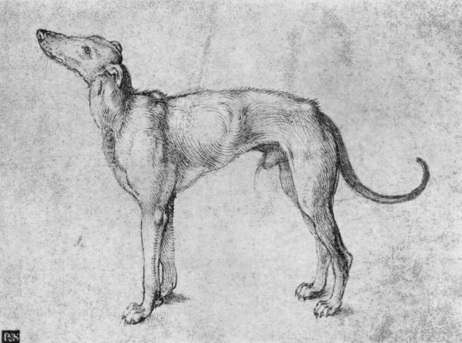Sketch by Albrecht Durer
