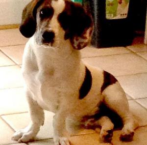 Brad Pitt, as shown on the Atlanta Journal-Constitution website.