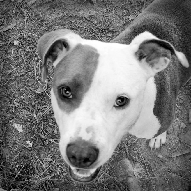 The blockhead who brings comfort.